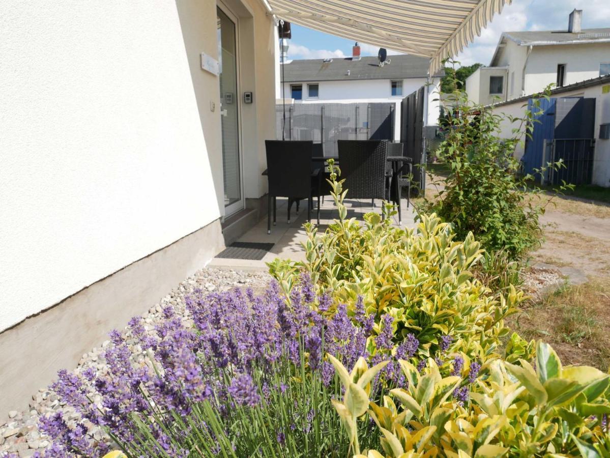 Ferienwohnung Zur Ostsee 3 Zinnowitz Εξωτερικό φωτογραφία